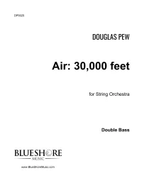 Air: 30,000 feet for String Orchestra (score) – Image 6
