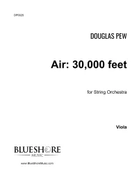 Air: 30,000 feet for String Orchestra (score) – Image 4