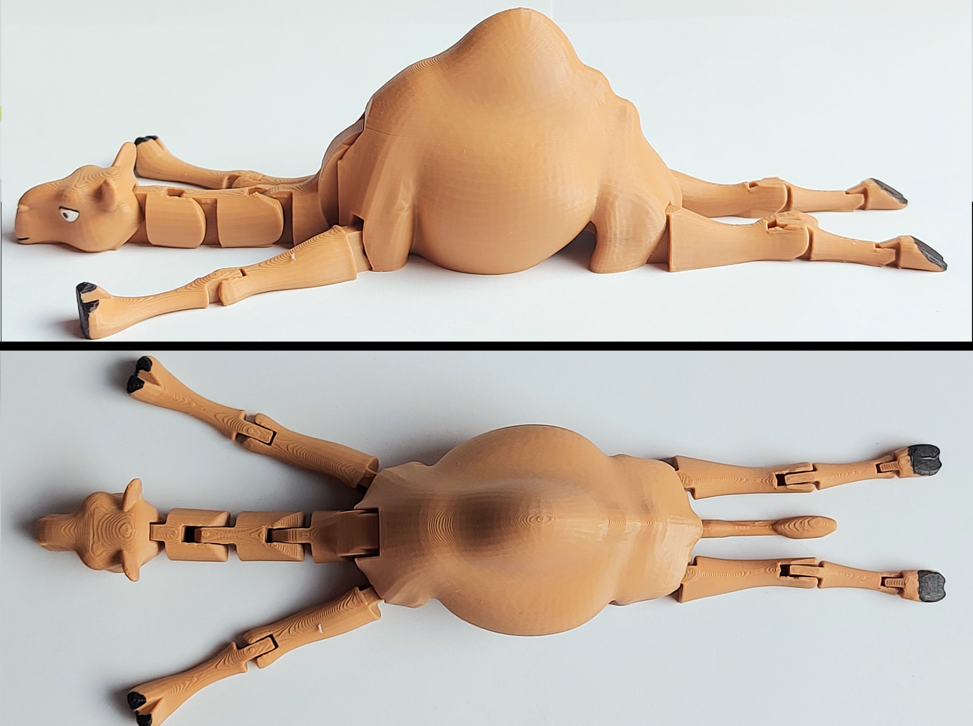 Flexible Camel – Image 2