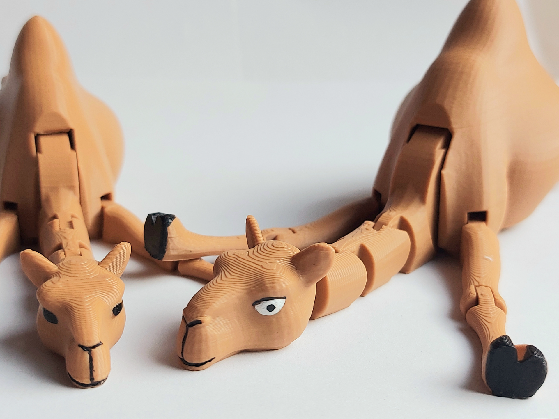 Flexible Camel – Image 3