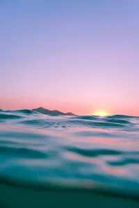 Remembrance - Summer – Image 1