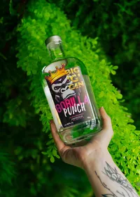 Gorilla Punch - Dragon Fruit & Lychee (40% ABV) – Image 3