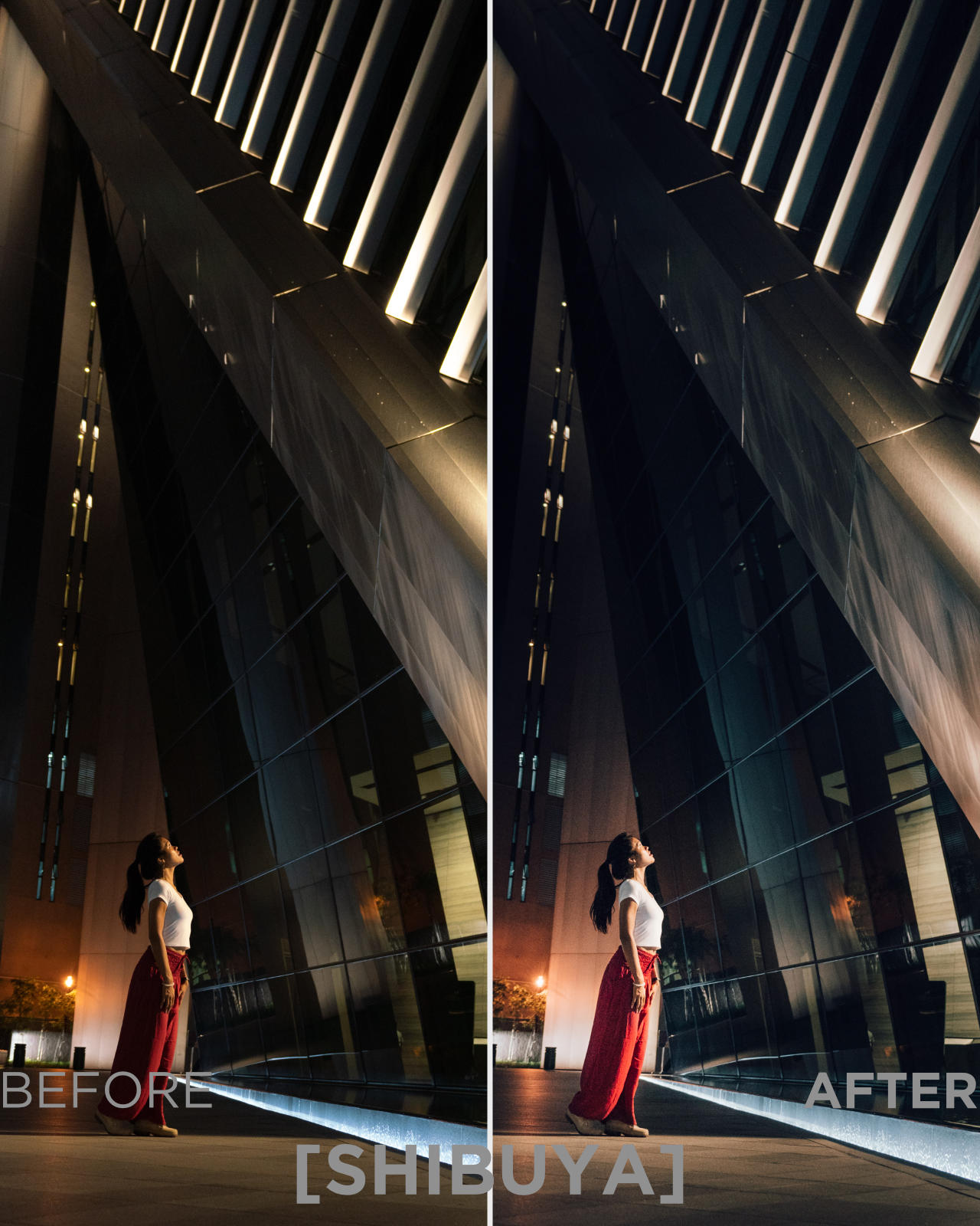 Collection Master I de Presets Lightroom (30 Presets) – Image 7