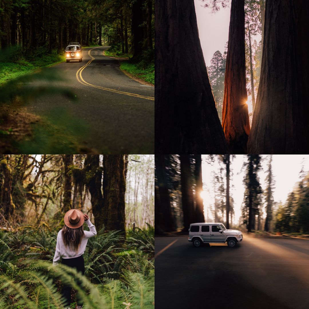 Collection Master III de Presets Lightroom (30 presets) – Image 2