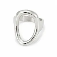 The Silver Muse Ring – Image 1