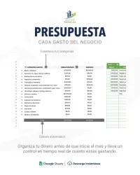 Plantilla de contabilidad y finanzas para negocios | Google Sheet | Automatizada – Image 2