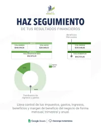 Plantilla de contabilidad y finanzas para negocios | Google Sheet | Automatizada – Image 3