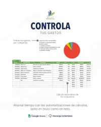 Plantilla de contabilidad y finanzas para negocios | Google Sheet | Automatizada – Image 4