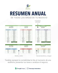 Plantilla de contabilidad y finanzas para negocios | Google Sheet | Automatizada – Image 5