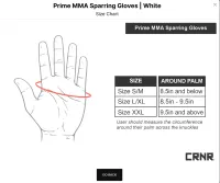 MMA Spar Gloves – Image 3