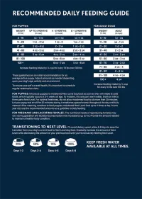 40lb Next Level GRAIN FREE SALMON RIVER® Dog and Puppy Food – Image 3