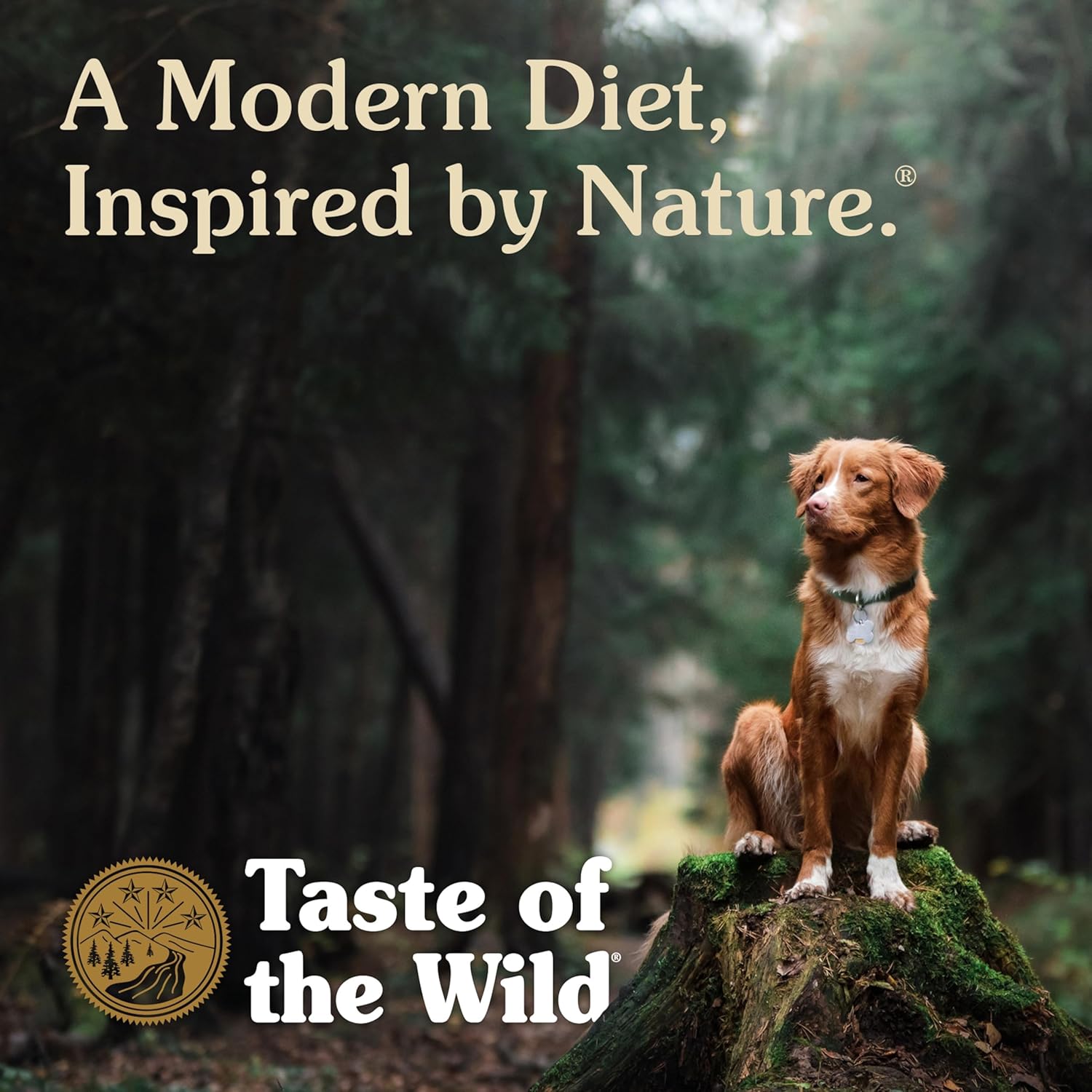 28lb Taste of the Wild High Prairie Canine Grain-Free Recipe with Roasted Bison and Venison Adult Dry Dog Food – Image 7
