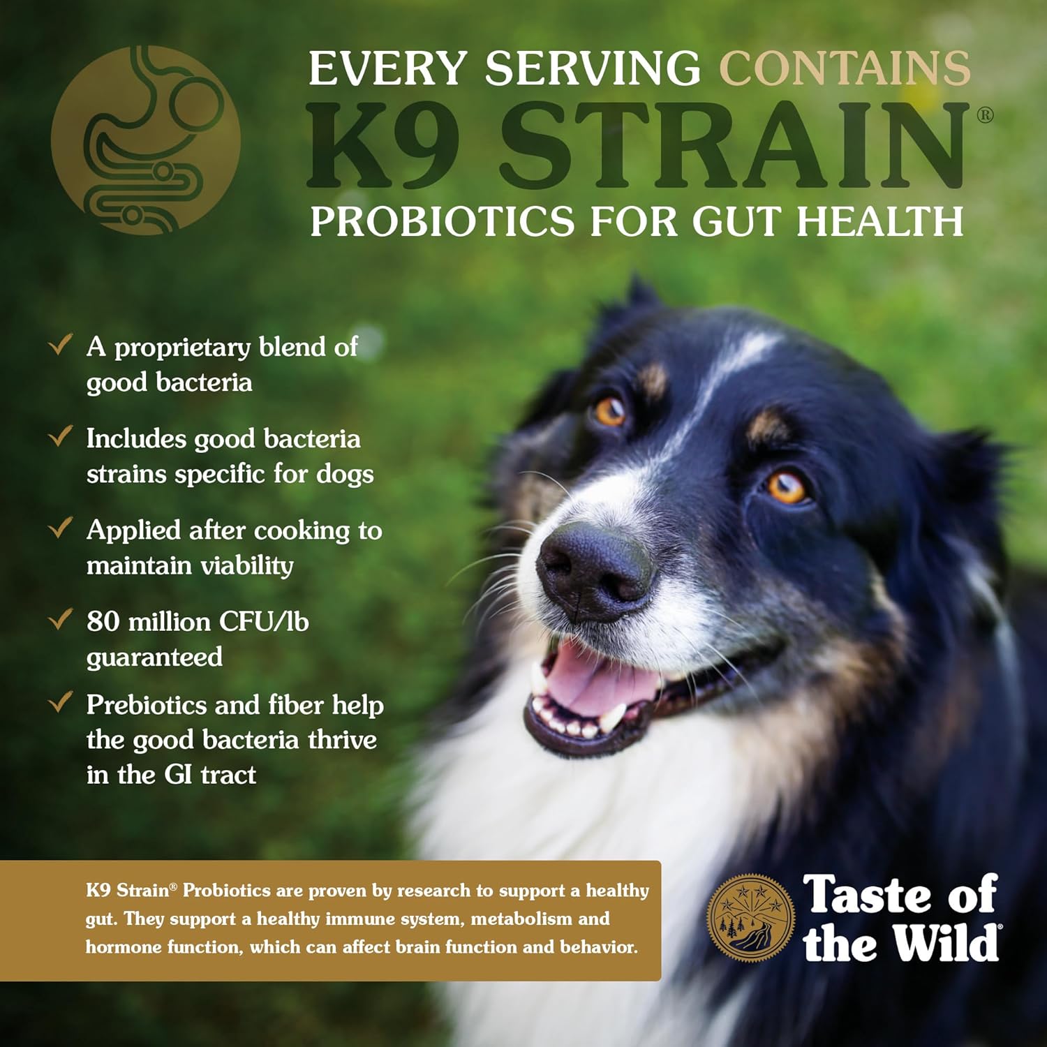 28lb Taste of The Wild Pacific Stream Grain-Free Dry Dog Food With Smoke-Flavored Salmon – Image 5