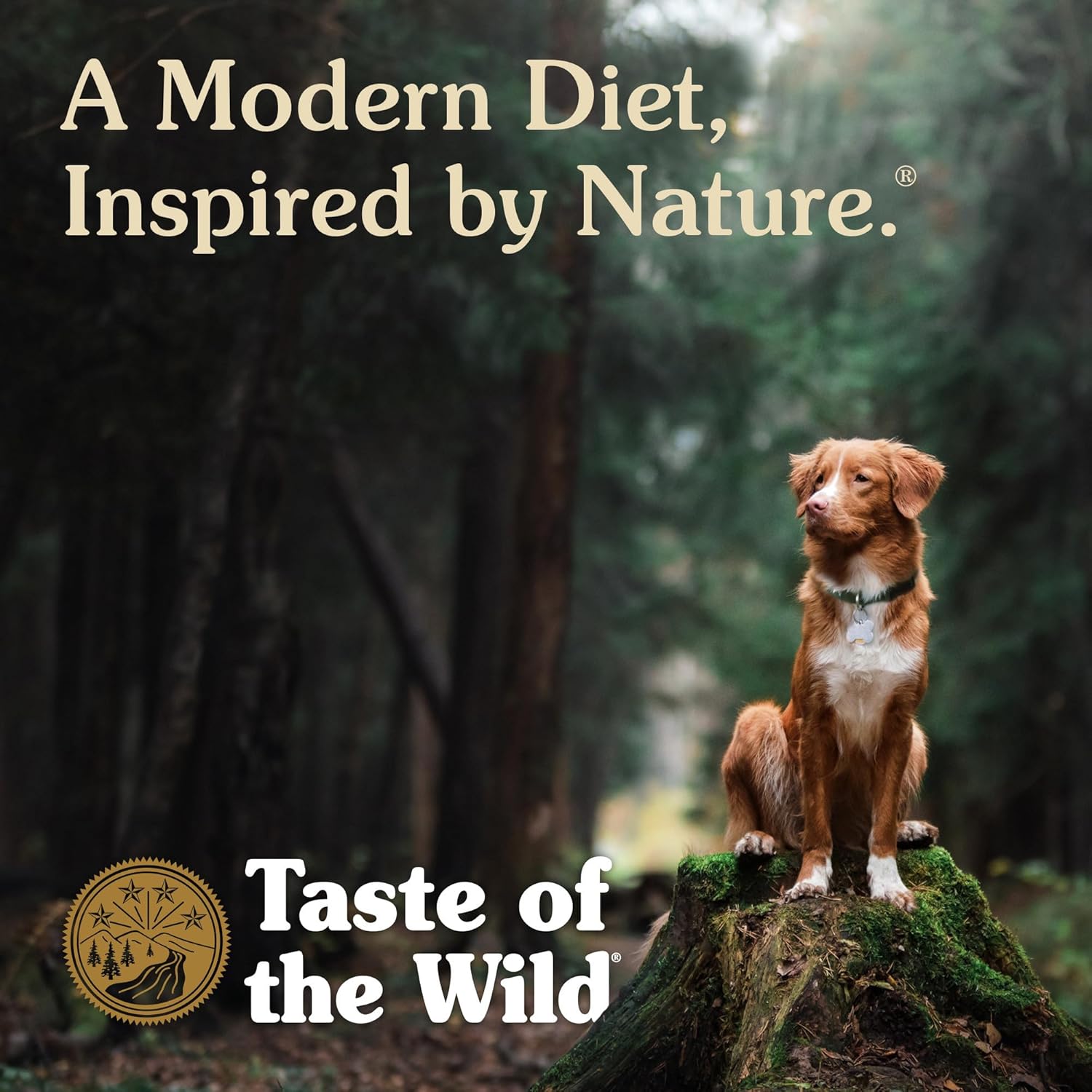 28lb Taste of The Wild Pacific Stream Grain-Free Dry Dog Food With Smoke-Flavored Salmon – Image 8