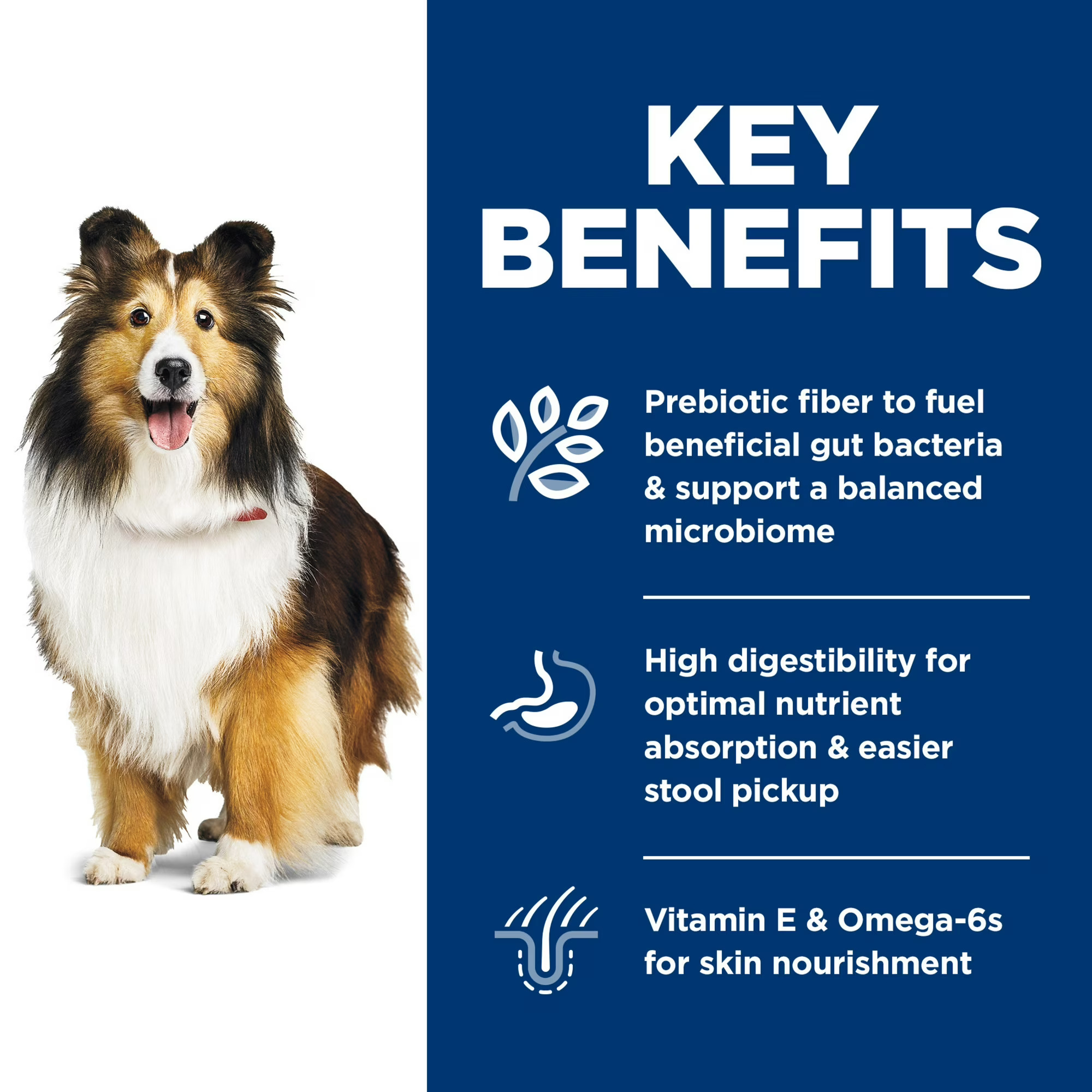 30lb Hill's Science Diet Hill's Science Diet Adult Sensitive Stomach & Skin Dog Food – Image 7