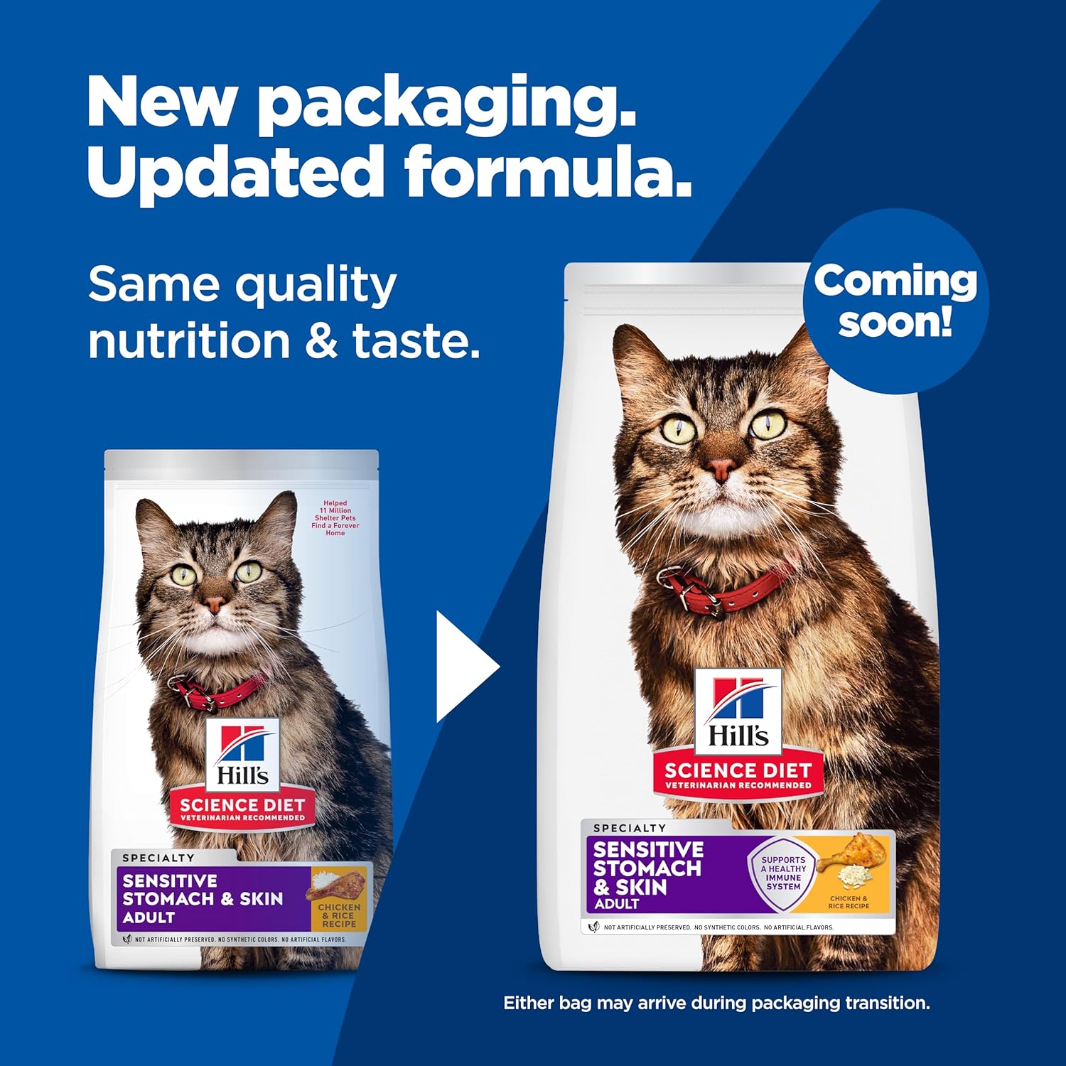 Hill's Science Diet Adult Sensitive Stomach & Skin Cat Food – Image 5