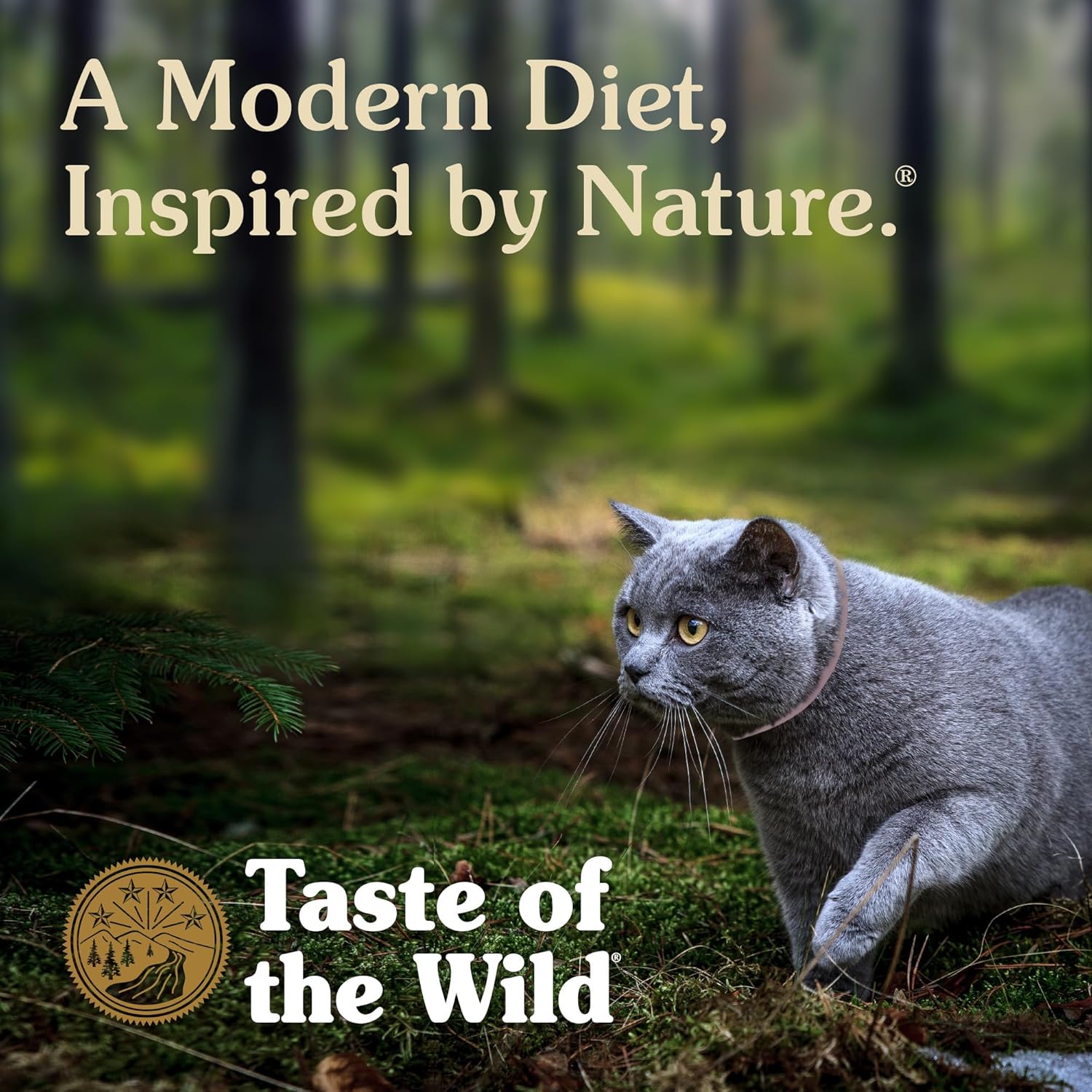 14lb Taste of the Wild® Rocky Mountain® Grain Free Feline Roasted Venison & Smoked Salmon Recipe – Image 3