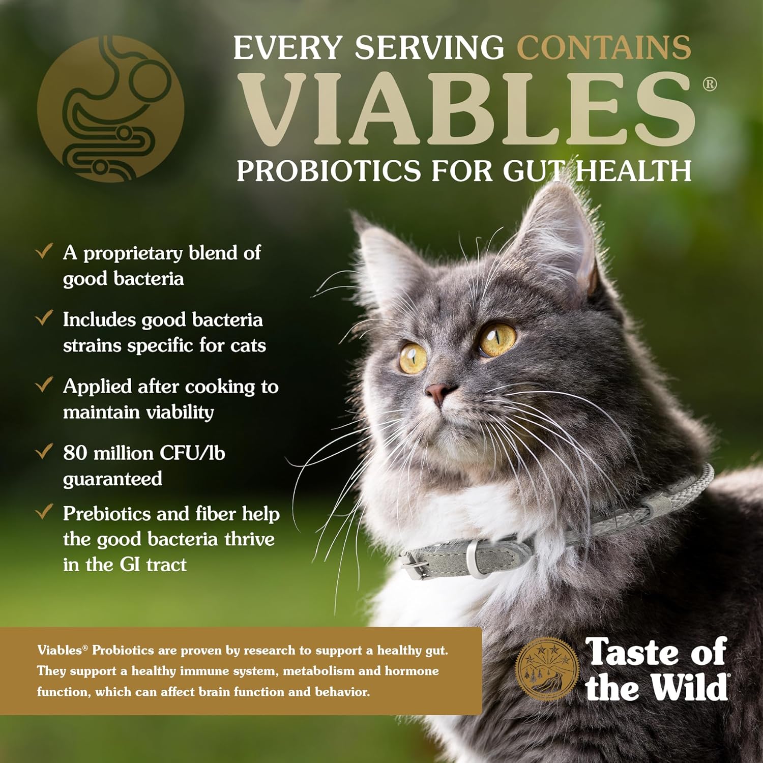 14lb Taste of the Wild® Rocky Mountain® Grain Free Feline Roasted Venison & Smoked Salmon Recipe – Image 5