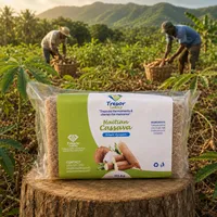 Kasav/Haitian Cassava – Image 2