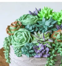 Cake n Sip Buttercream Succulents – Succulents Cake n Sip- Vice & Virtue July 15th