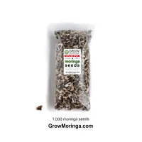 Moringa Seeds – 1,000 moringa seeds (300g)