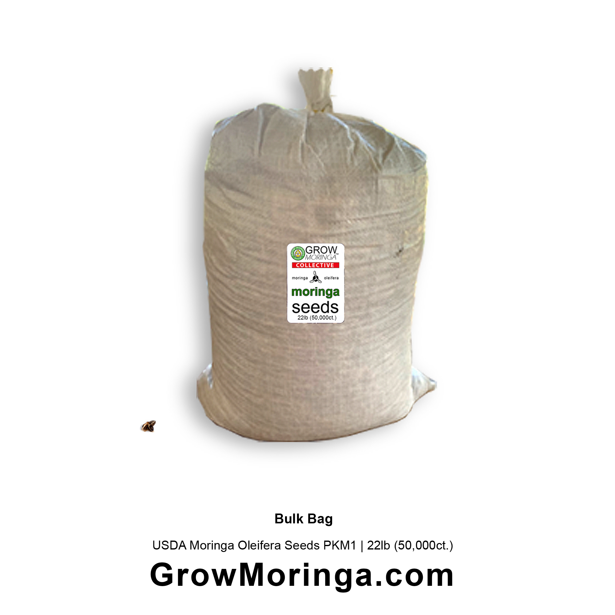 Bulk - Moringa Oleifera Seeds PKM1 – 35,000 ct sack