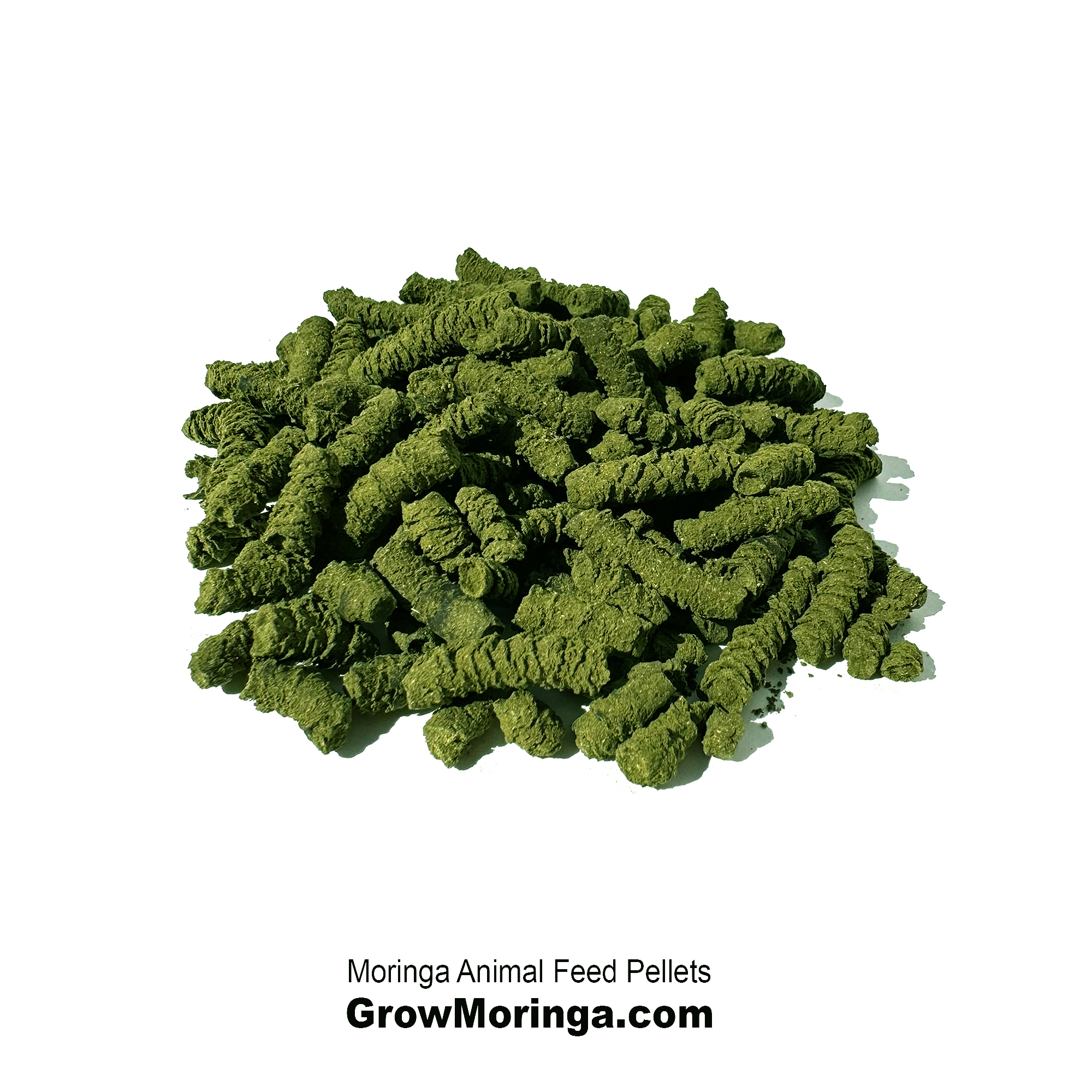 Bulk - Moringa Animal Feed Pellets – 10 lb bag