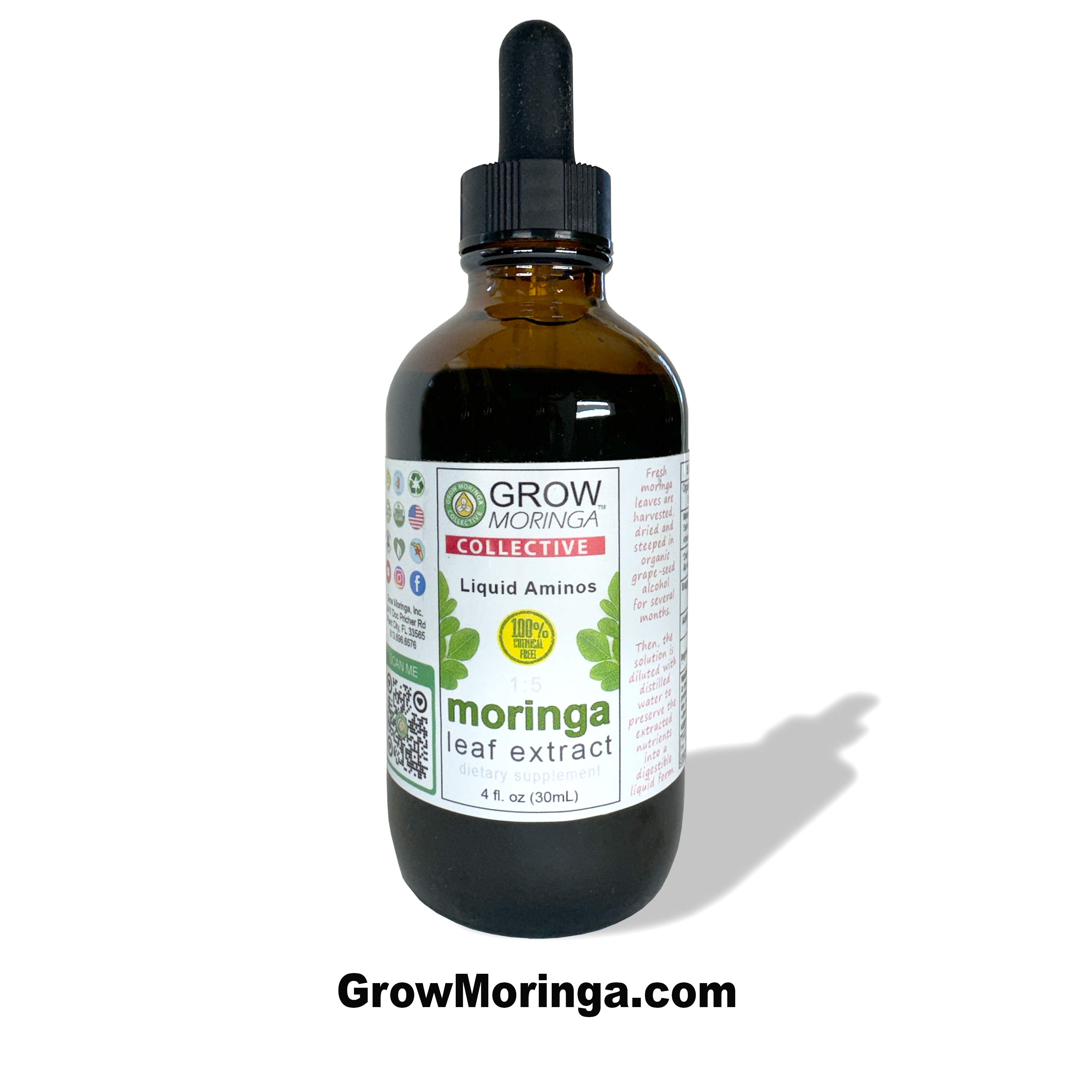 USA Moringa Leaf Tincture – 4 oz