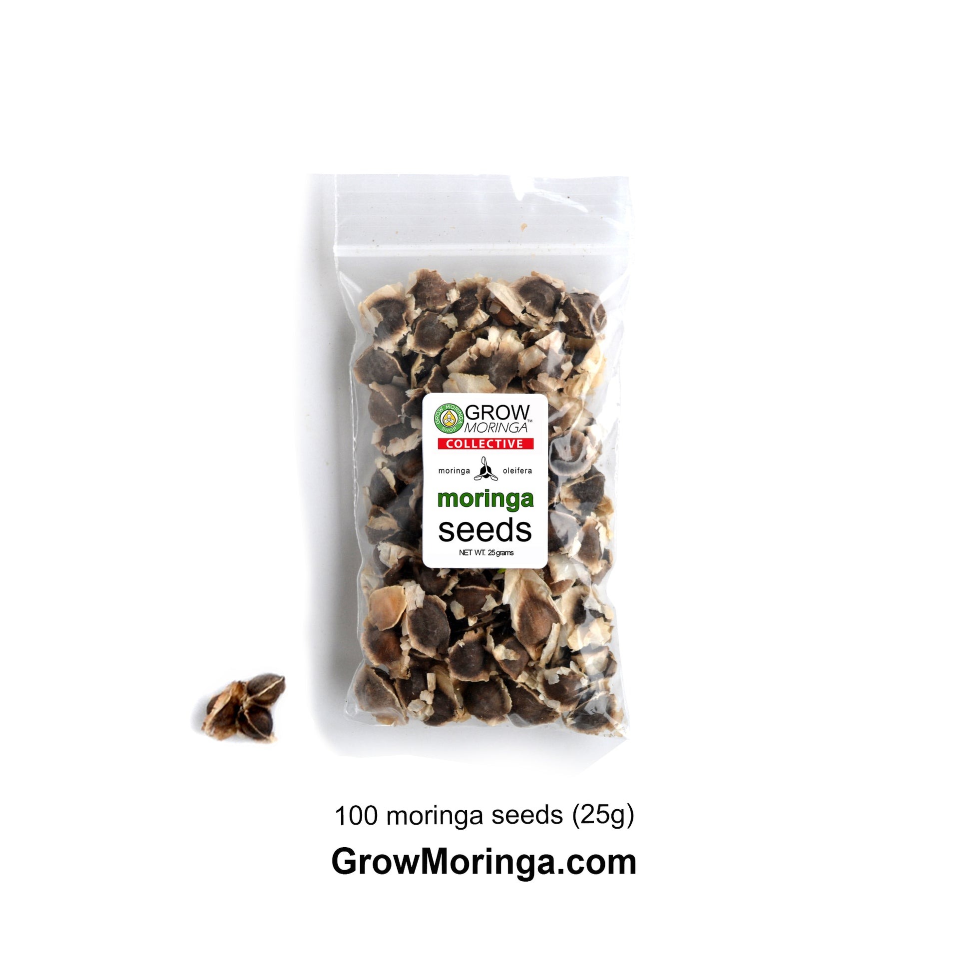 Moringa Microgreens Kit – Image 7