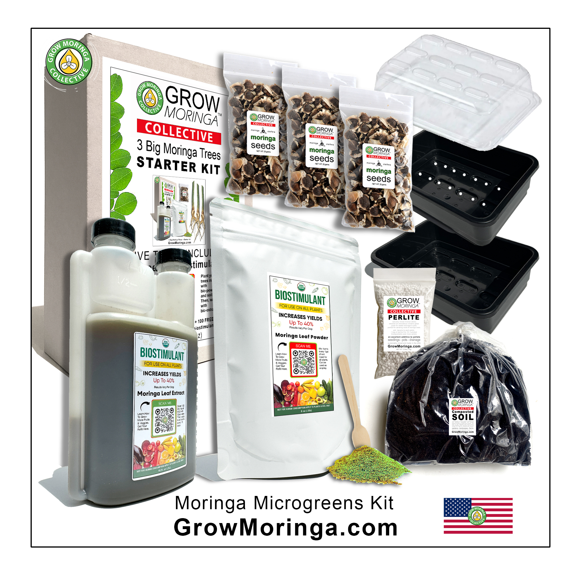 Moringa Combo Kit – Image 2