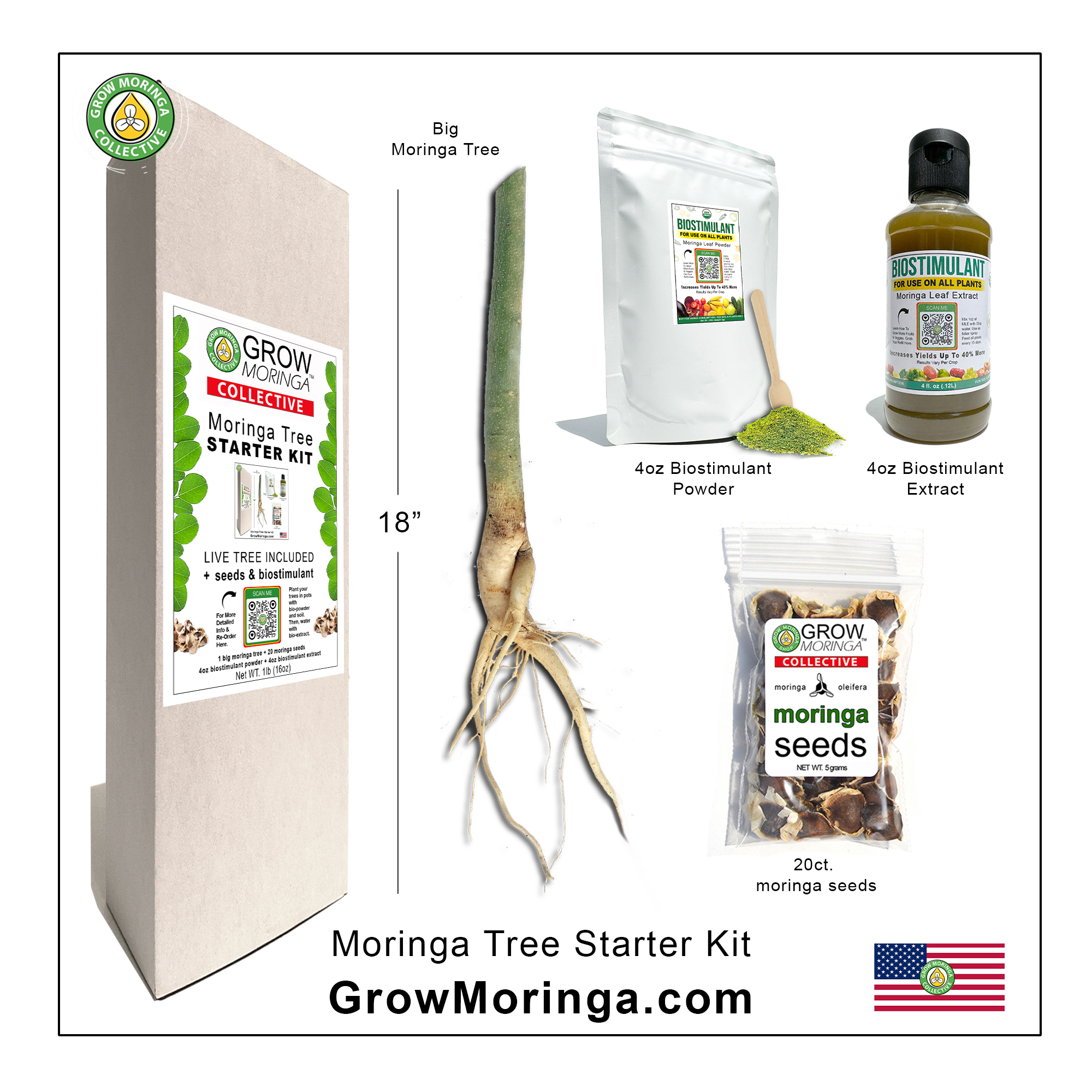 Moringa Tree Starter Kit – Image 2