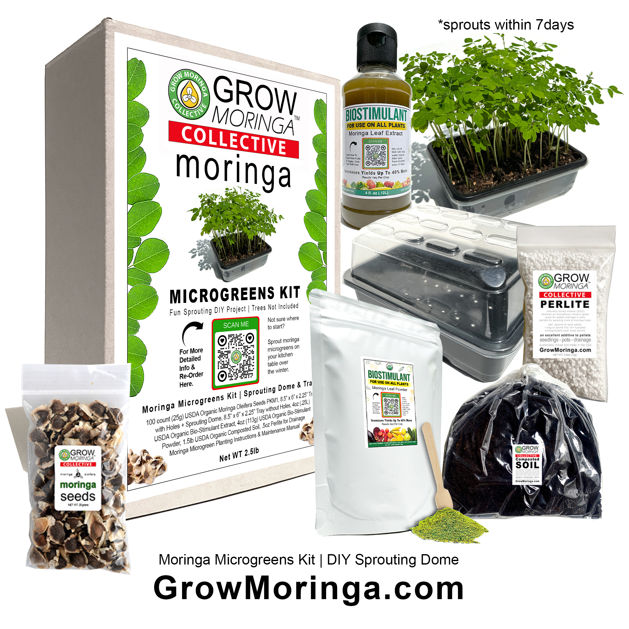 Moringa Combo Kit – Image 3