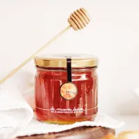 FRASCO DE MIEL DE ABEJAS PURA – Image 1