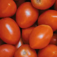 TOMATE CHONTO – Image 2