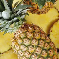 PIÑA – Image 2