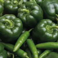 PIMENTÓN Y JALAPEÑO – Image 2