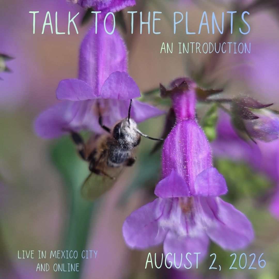 Talk To The Plants Intro - August 2026 – Image 1