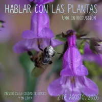 Introducción a Hablar con las plantas - agosto 2026 (TTTP Intro SP) – Image 1