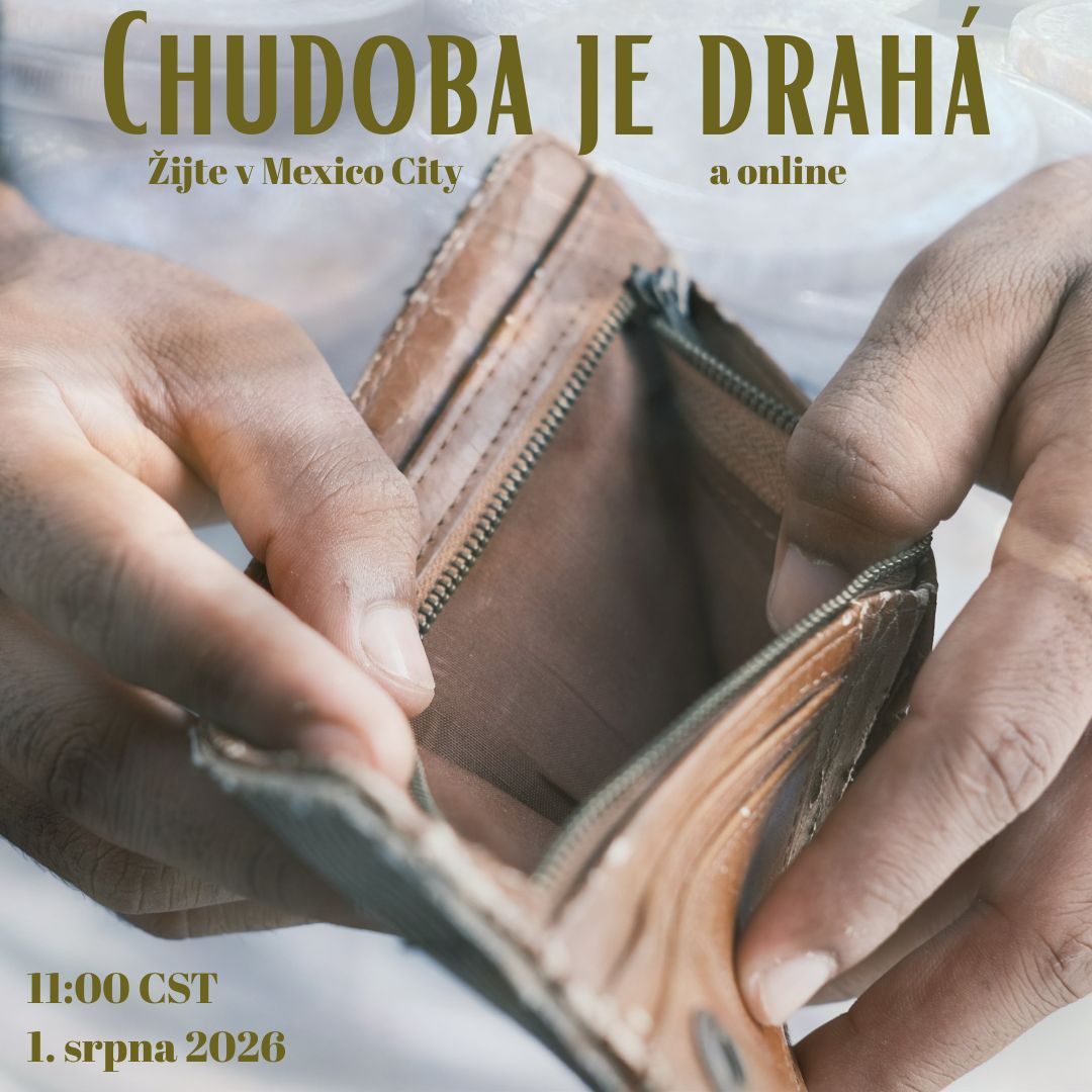 Chudoba je drahá (Poverty Is Expensive - CZ) – Image 1