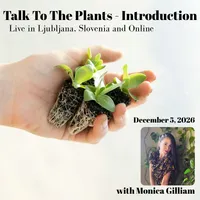 Talk To The Plants - Introduction - Slovenia – Image 1