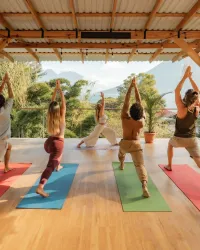 Single Yoga Class – Image 1