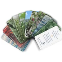 Oil Decree Cards – Image 9