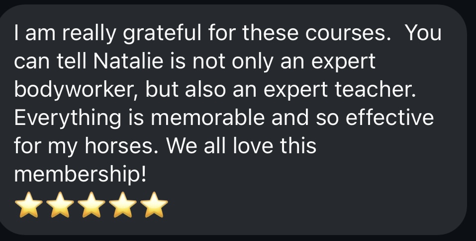 Online Academy Membership – Image 8
