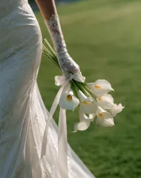 6-Month Bridal Skin & Aesthetic Plan – Image 1