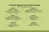 6-Month Pigment Correction Program – Image 2