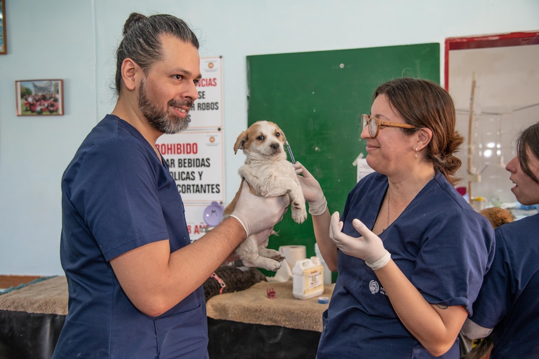 Veterinarian Snapshot – Image 1