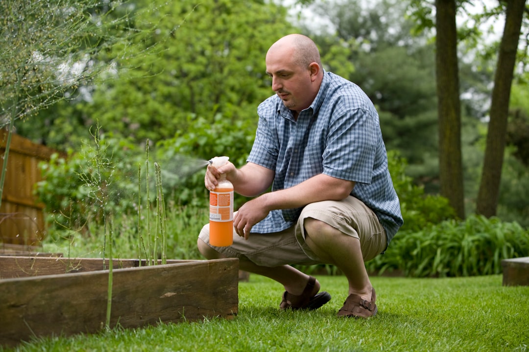 Pest Control Snapshot – Image 1