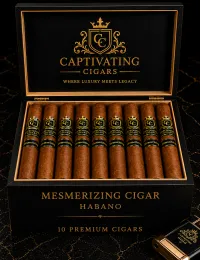MESMERIZING - Box of 10 – Image 1