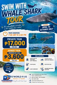 SWIM WITH WHALE SHARK TOUR – Image 1