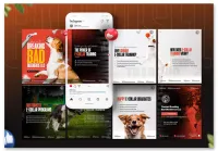 Reel Video under 90 Sec – Image 5